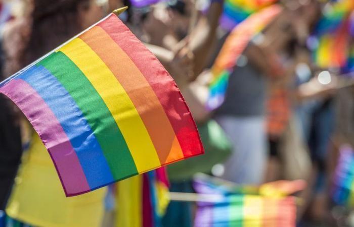 Swedish Conservatives Suggest that Estonia and Sweden swap homosexuals for homophobes...