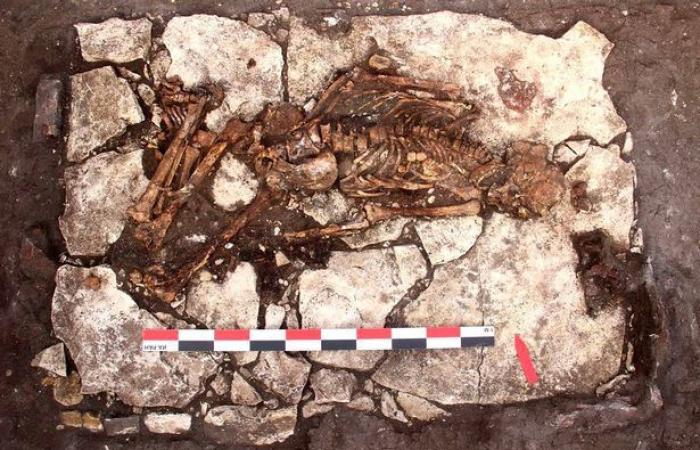 Skull found by 5,000-year-old man who had undergone ancient brain surgery...