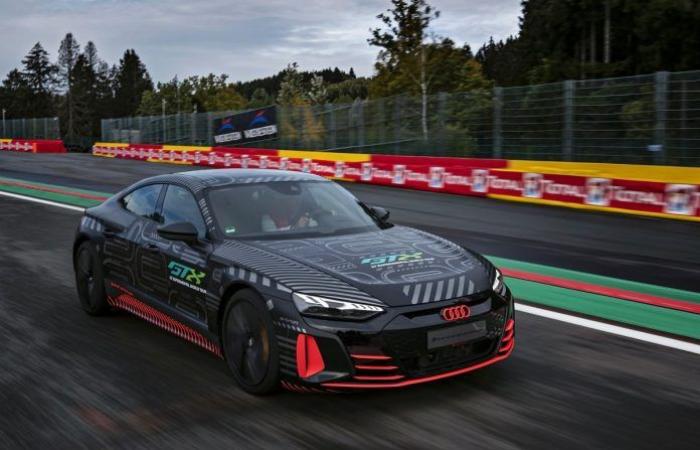 Audi RS E-tron GT completely in the picture