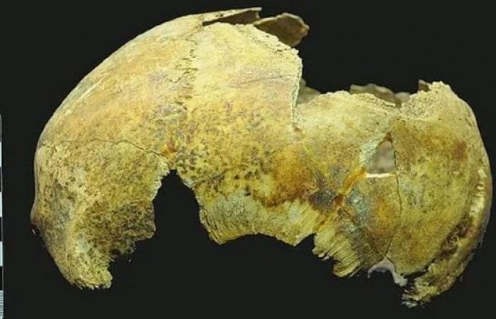 In the Crimea, Russian scientists discover a 5,000-year-old skull of a...