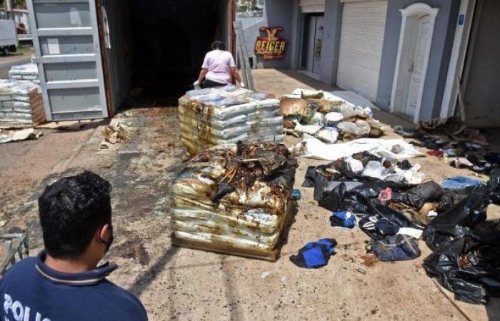 Latin America: Paraguay: seven corpses in a container from Serbia