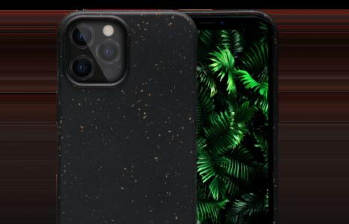 the most beautiful and best cases for iPhone 12 (Pro)