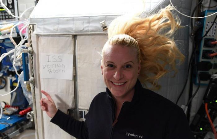 NASA astronaut Kate Rubins casts ballot from space | Voice...