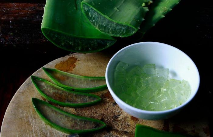 5 benefits of aloe vera: cure sunburn, aid digestion and much...