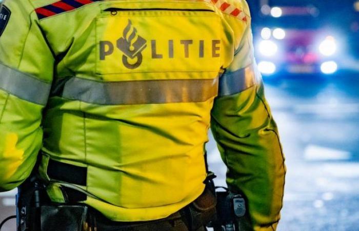 Police injured by ‘wave of violence’ at illegal party in Alblasserdam...