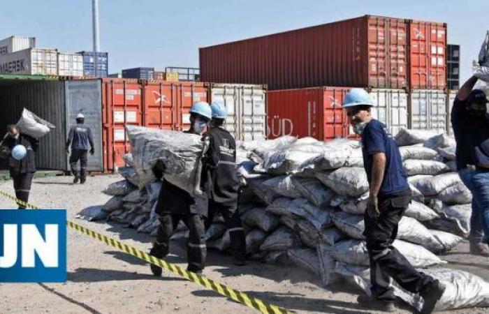 Seven dead bodies found in fertilizer transport container in Paraguay