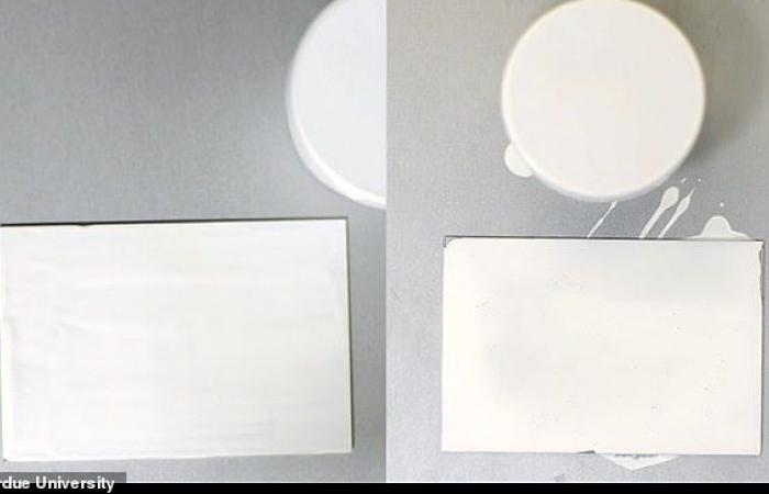 New ‘super white’ paint reflects 95.5% of light from buildings and...