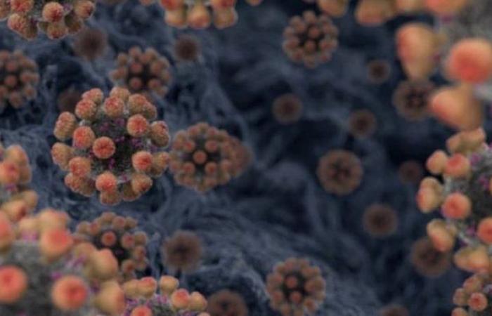 Coronavirus: What Makes It Fatal?