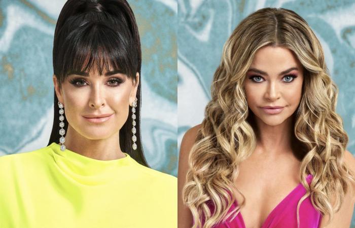 Kyle Richards informs about her friendship with Denise Richards after quitting