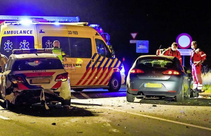 Dead cop Jeroen wanted to get animal off highway | ...