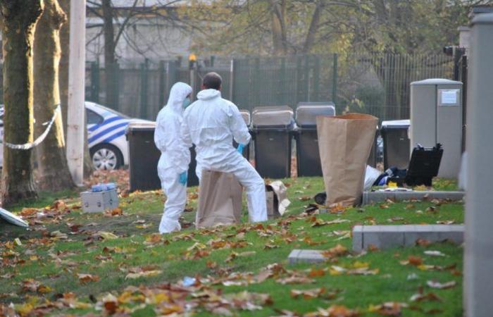 Woman died after being stabbed in the street (Molenbeek-Saint-Jean)