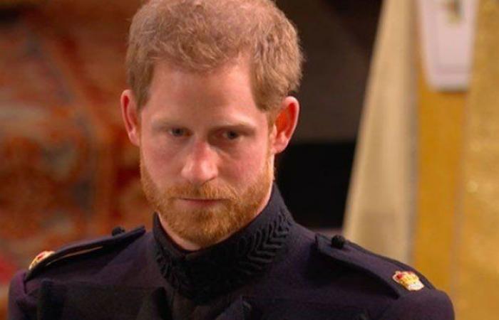 Top generals beat up Prince Harry for dumping royal marines: “”...