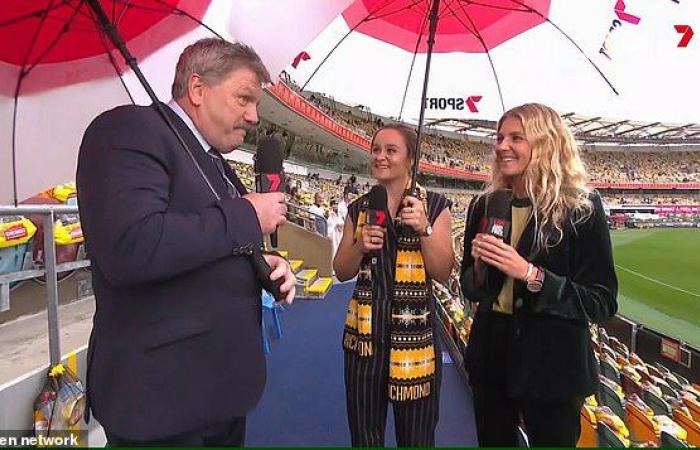 The Channel Seven star slammed for the AFL Grand Final interview...