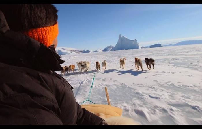 ‘The Last Ice’ documentary reveals threatened biodiversity in the Arctic –...