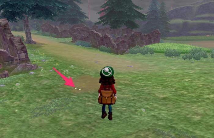 Pokemon Sword and Shield: Grasslands Pokemon Footprint Locations