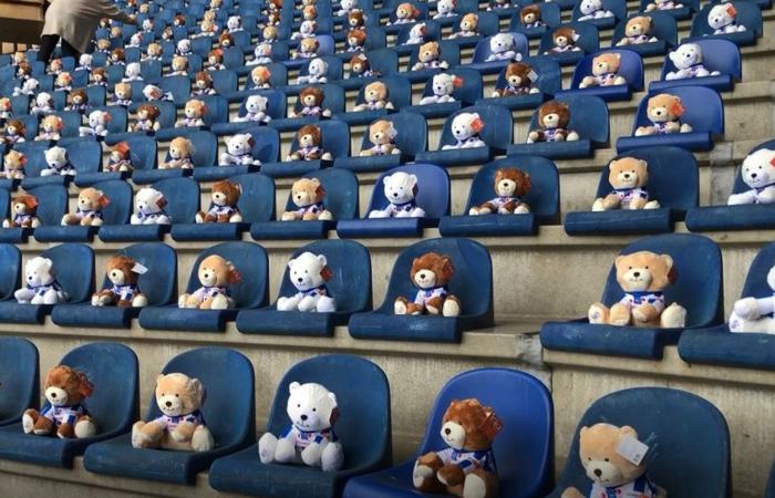 Empty stands full again: 15,000 teddy bears in the stadium