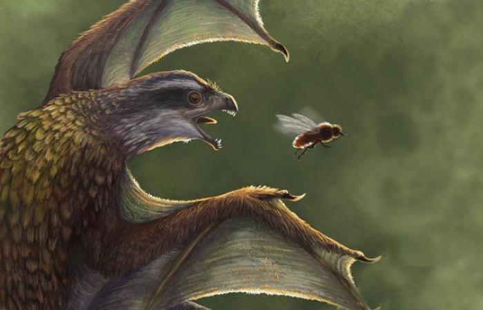 These tiny, small-winged dinosaurs were likely worse than chickens at flying
