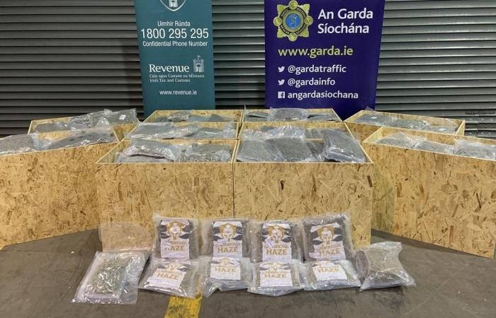 Two men seized over 7 million euros of cannabis in the...