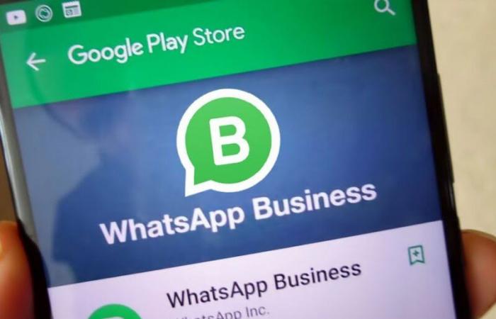 Charging fees for “WhatsApp Business” services