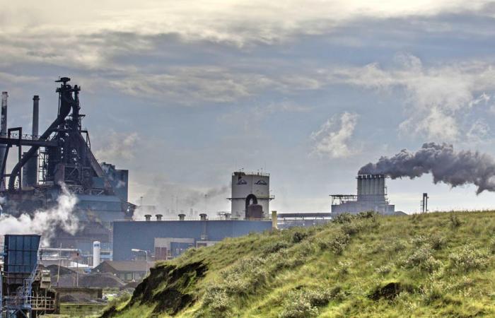 ‘Swedes want to buy Tata IJmuiden’ | Financial