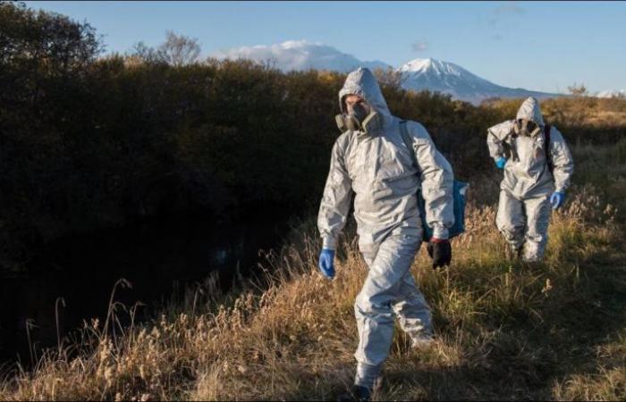 Toxic algae cause an environmental disaster in Russias Kamchatka region …...