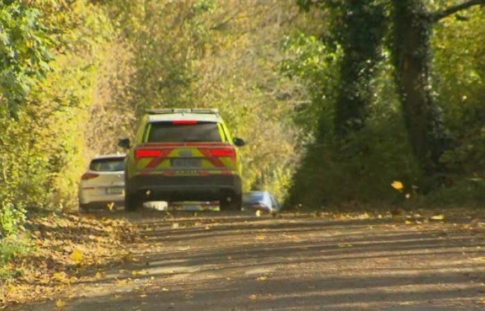 Three dead after a shooting incident at Cork Farm