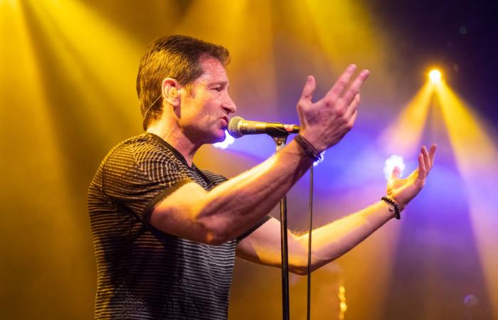 David Duchovny on the new anti-Trump song ‘Layin’ on the Tracks’