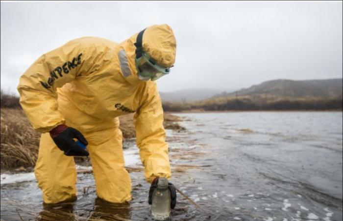 Toxic algae cause an environmental disaster in Russias Kamchatka region …...