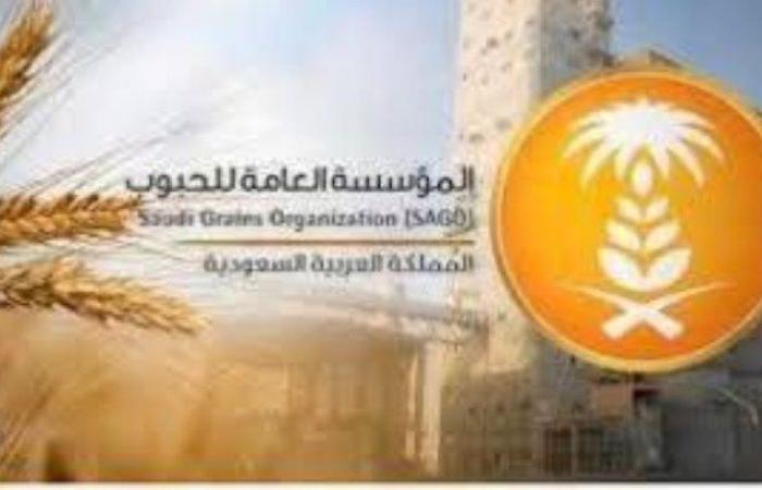 Spending 14 million to wheat farmers – Saudi News