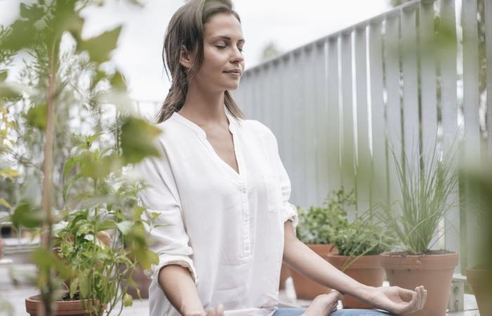 Is Meditation Good For Digestion and Gut Health?
