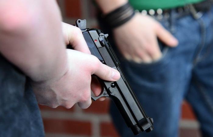 3-year-old boy dies in the US while handling a firearm during...