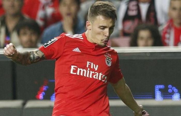 THE BALL – Grimaldo leaves a message after injury (Benfica)