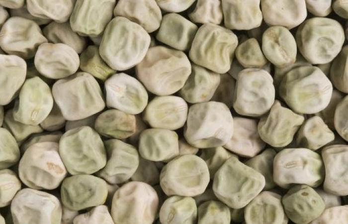 Wrinkled “super peas” could be added to foods to reduce the...