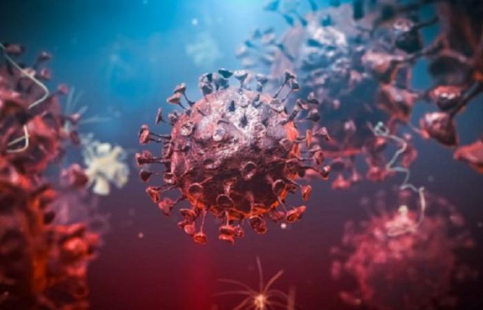 Russian biologists discover a bad characteristic of the Corona virus