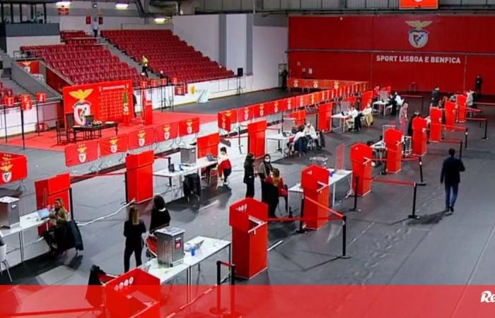 Benfica goes to votes: follow the elections live – Benfica