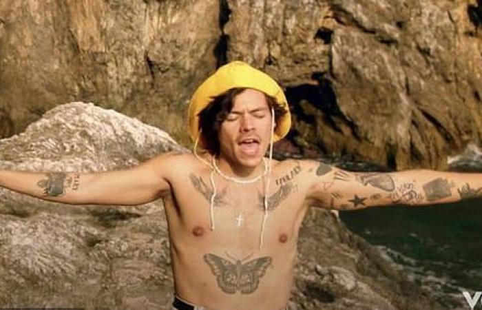 Harry Styles fans distracted by its large bulge in the new...