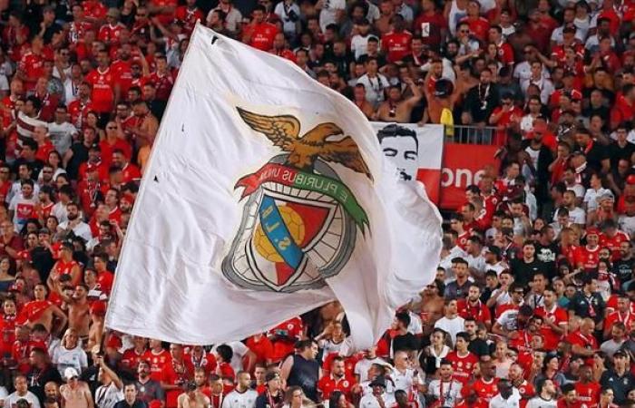 THE BALL – Follow the elections LIVE (Benfica)
