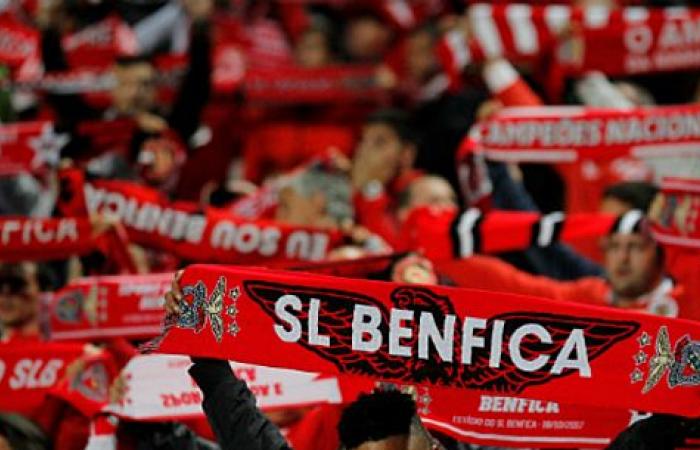 ‘Vertonghen has problems at Benfica’