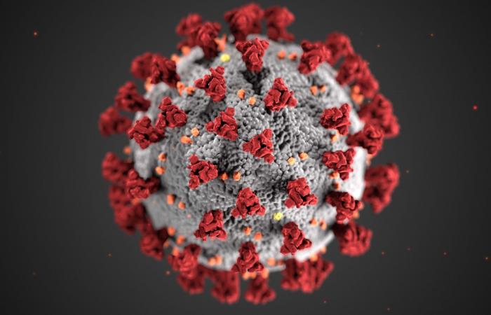According to studies, the coronavirus variant is spreading across Europe