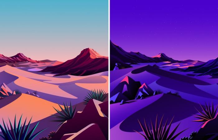 Download the new macOS 11.0.1 wallpapers