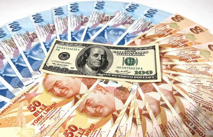 Turkish lira records a new bottom and no light on the...