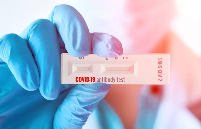 Coronavirus: What do waning antibodies tell us about immunity and vaccines?