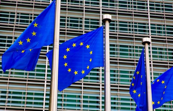 EU takes the Netherlands to court over pension rules | ...