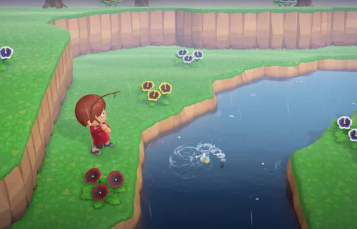 Animal Crossing: new fish and insects to catch in November