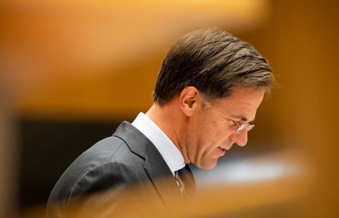 Mark Rutte wants to become party leader of the VVD again