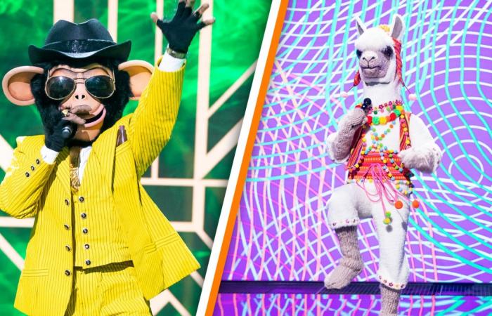 These two celebrities have been exposed in The Masked Singer