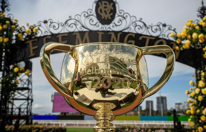 Melbourne Cup 2020 Final Field, horses, odds, betting on who is...