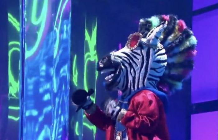 The Masked Singer: Is This Comedian The Zebra?