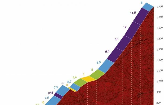 Vuelta 2020: Preview of the mountain ride to the Alto de...