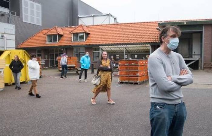 Disclaimed chicken slaughterhouse from Nunspeet applies for a postponement of payment...